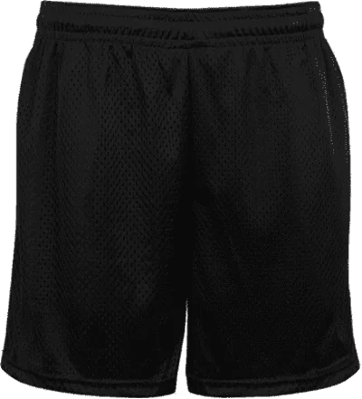 Shorts For Sci-Fi Fans-Badger Sport 222500 Mesh Tricot Youth 4" Short - Black